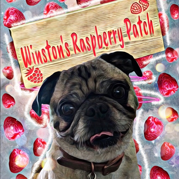 Meet your Posher, Lori - Picture 5 of 8